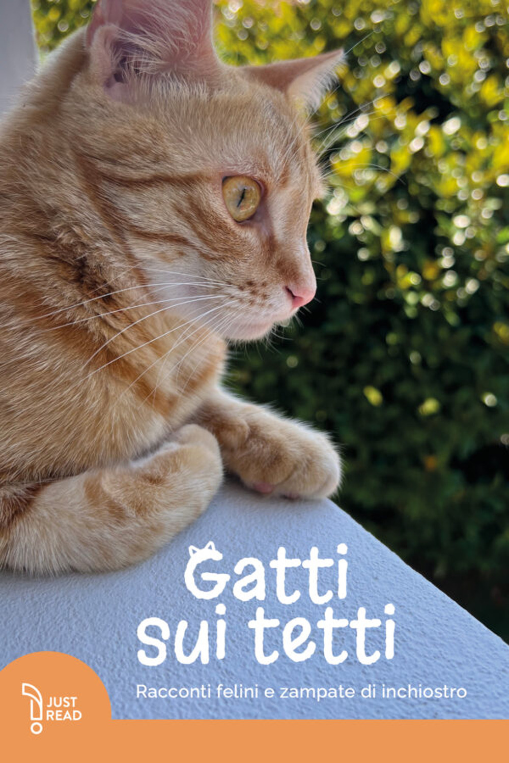 Gatti sui tetti. Racconti felini e zampate di inchiostro