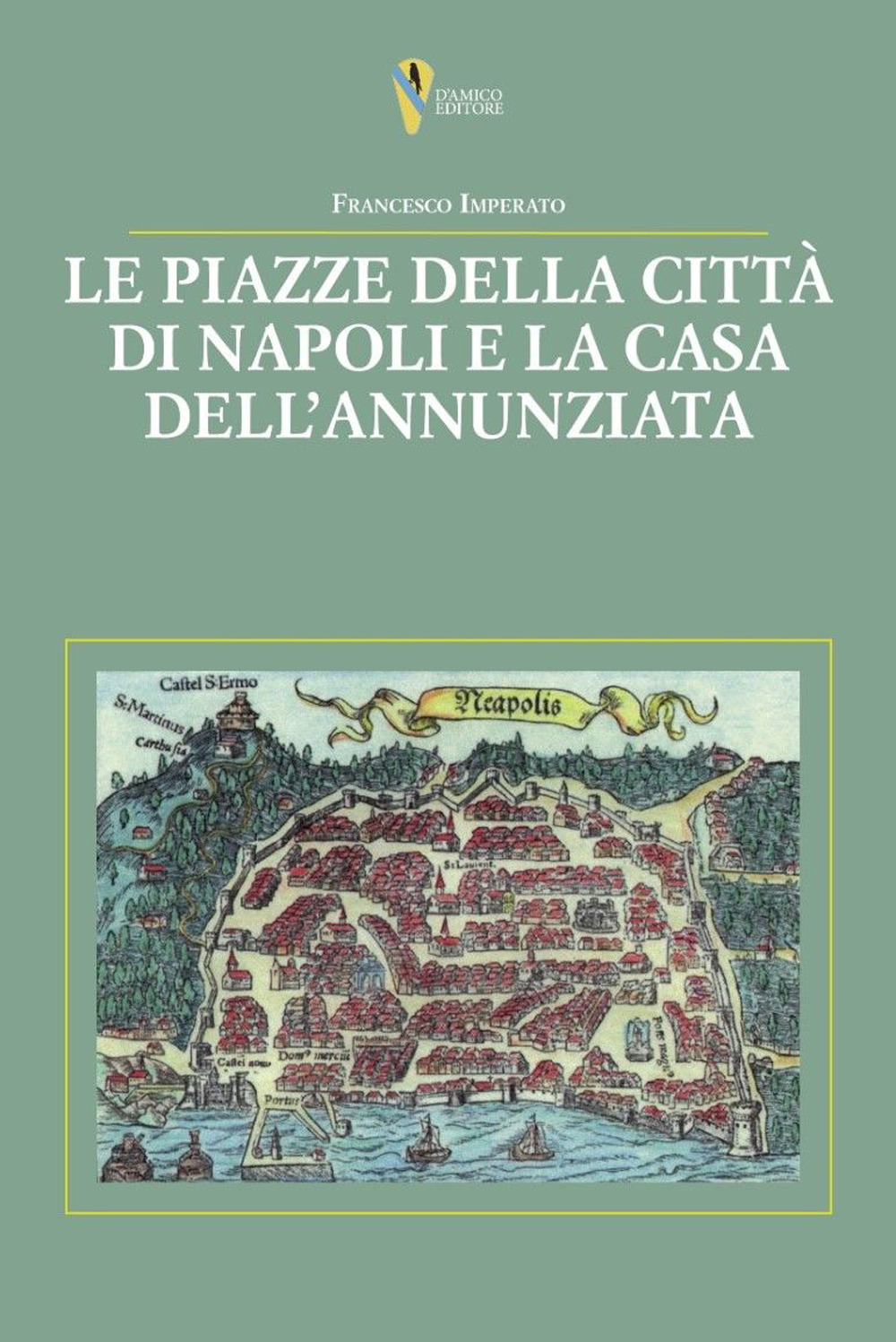 Le piazze della città di Napoli e la casa dell'Annunziata