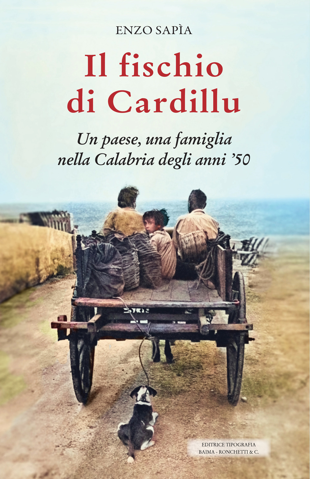 Il fischio di Cardillu. Un paese, una famiglia nella Calabria degli anni '50