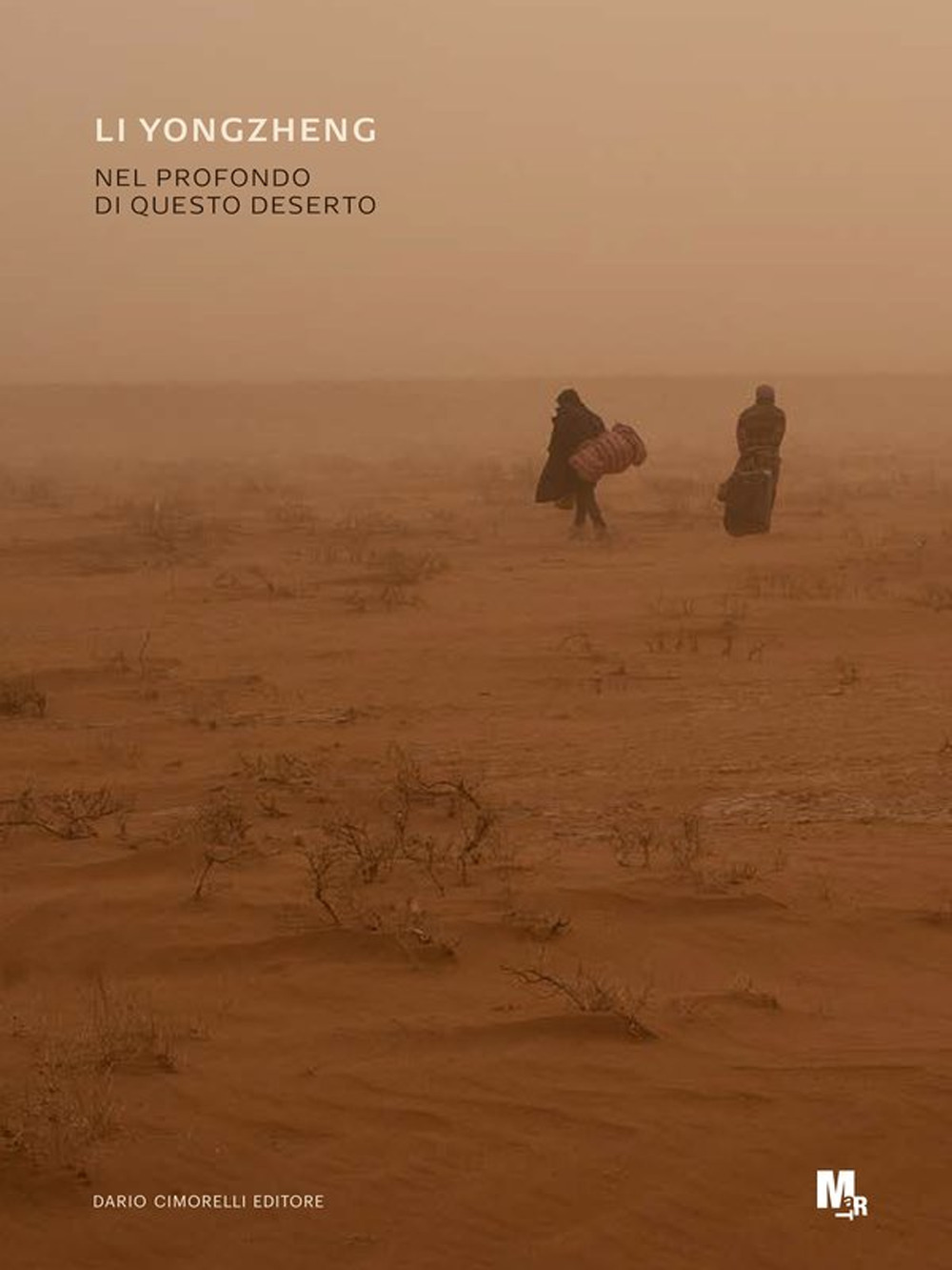 Li Yongzheng. Nel profondo di questo deserto. Ediz. italiana e inglese