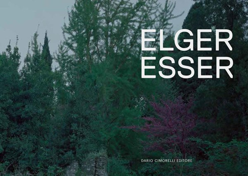 Elger Esser. Ediz. illustrata