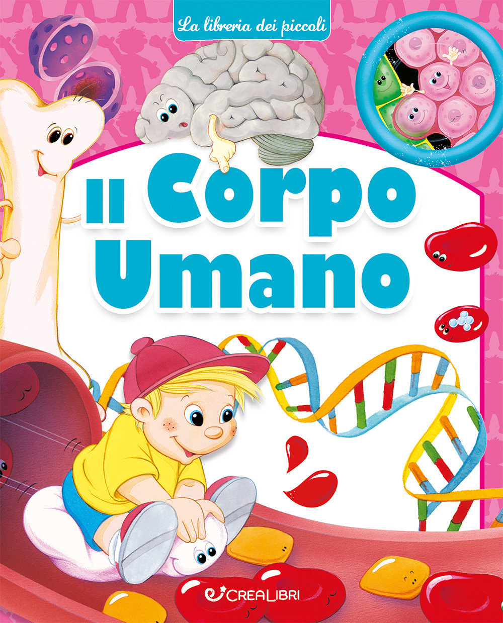 Il corpo umano. Ediz. a colori