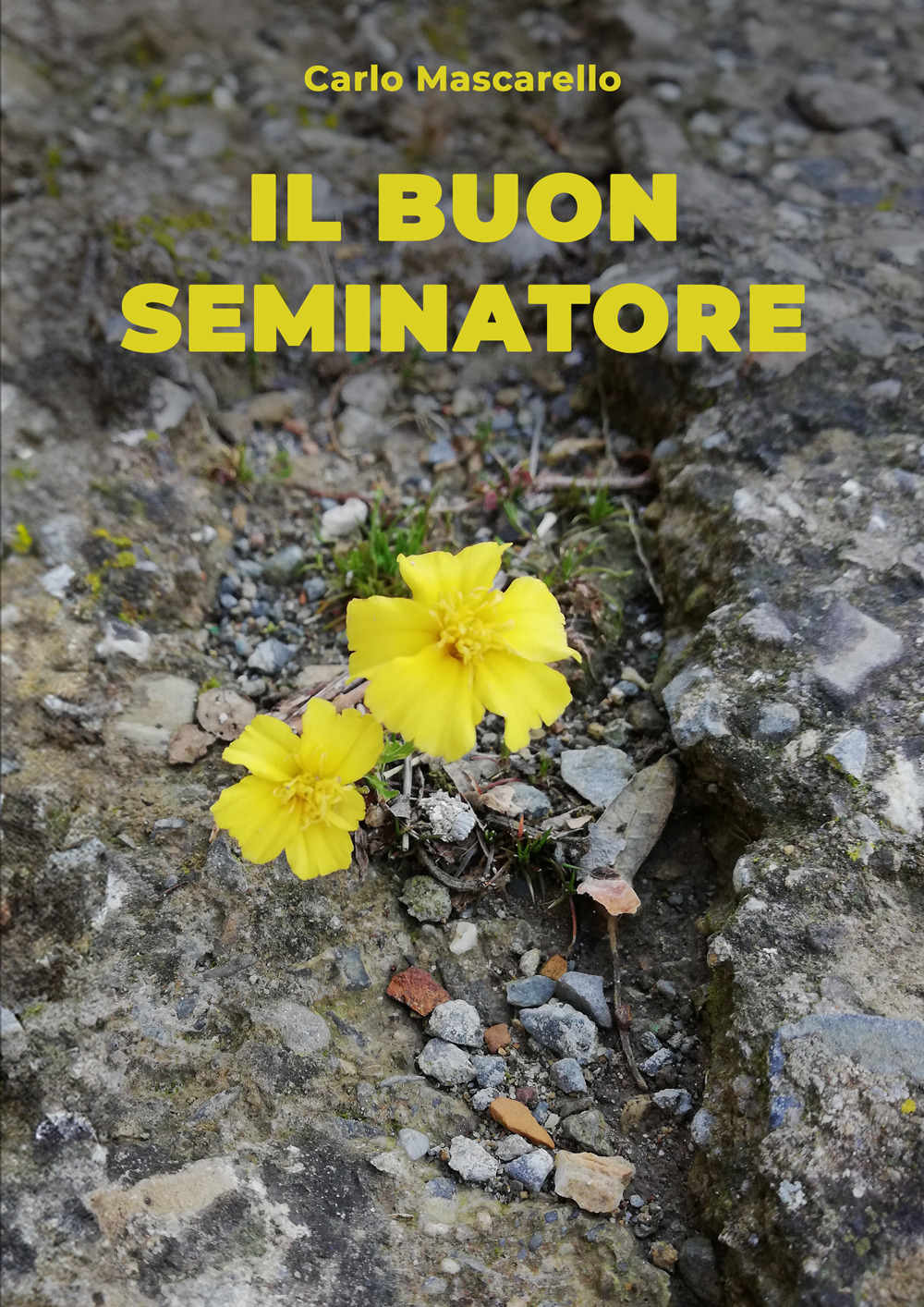 Il buon seminatore