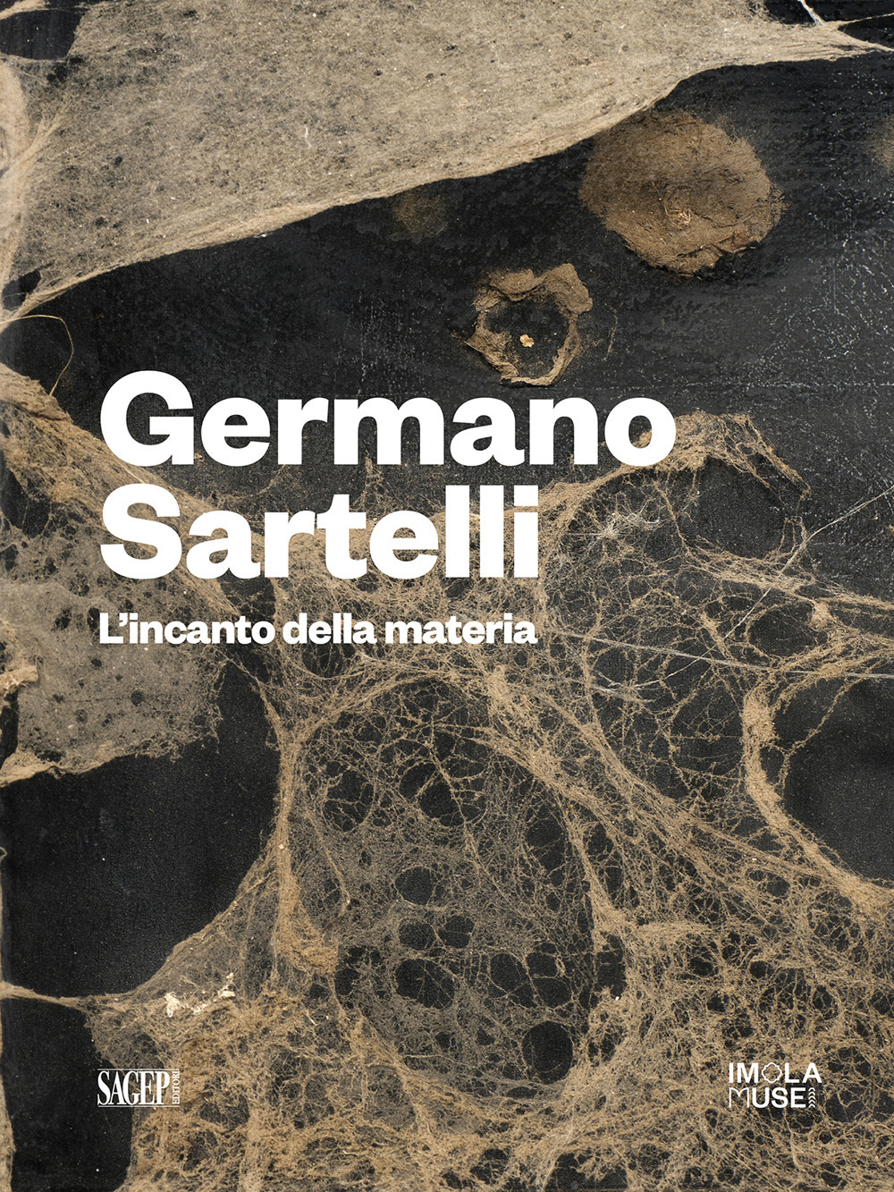 Germano Sartelli. L'incanto della materia. Ediz. illustrata