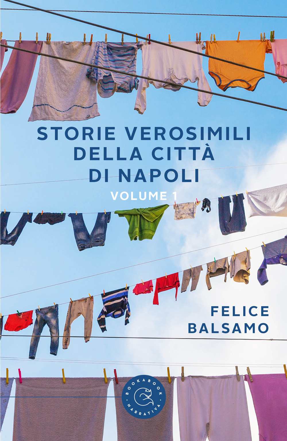 Storie verosimili della città di Napoli. Vol. 1