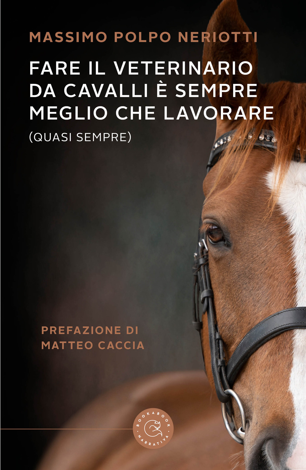 Fare il veterinario da cavalli è sempre meglio che lavorare (quasi sempre)