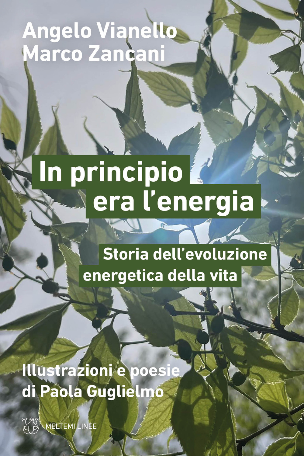 In principio era l'energia. Storia dell'evoluzione energetica della vita