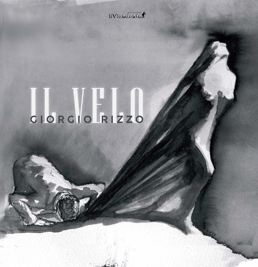 Il velo. Ediz. illustrata