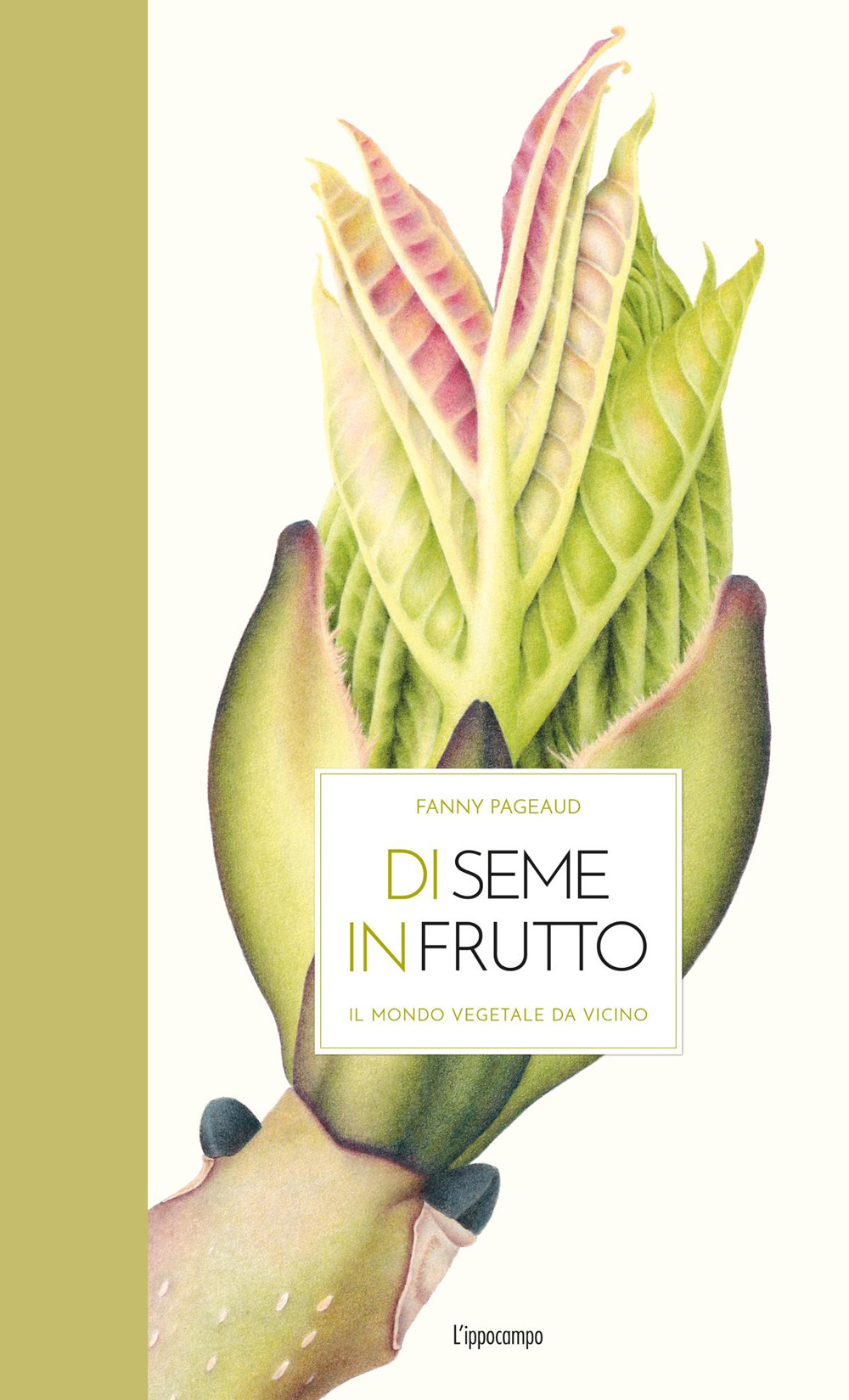 Di seme in frutto. Il mondo vegetale da vicino. Ediz. illustrata