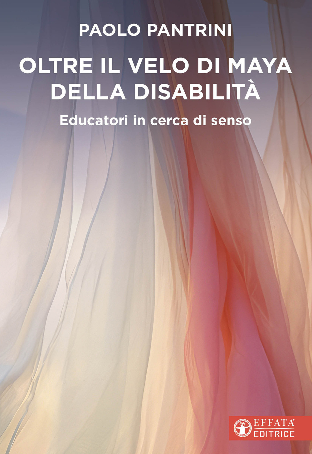 Oltre il velo di Maja della disabilità. Educatori in cerca di senso