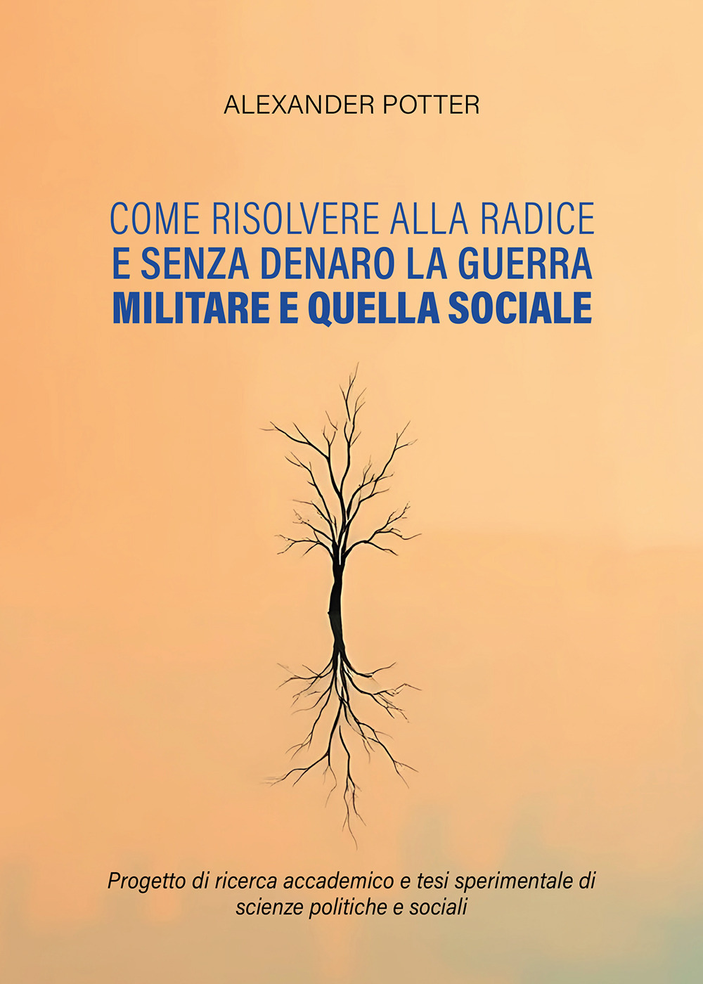 Come risolvere alla radice e senza denaro la guerra militare e quella sociale. Progetto di ricerca accademico e tesi sperimentale di scienze politiche e sociali