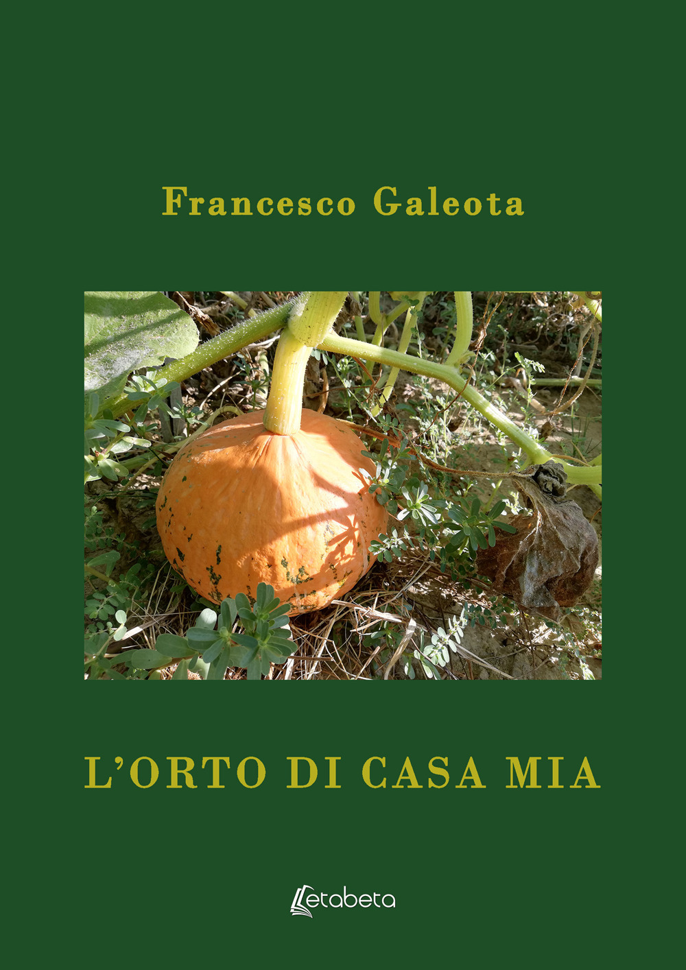 L'orto di casa mia