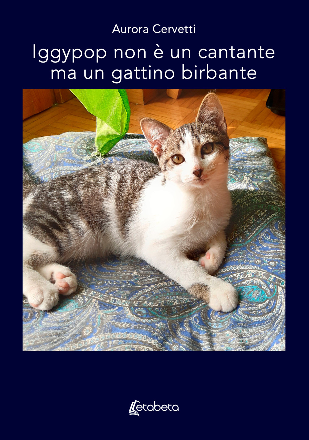Iggypop non è un cantante ma un gattino birbante