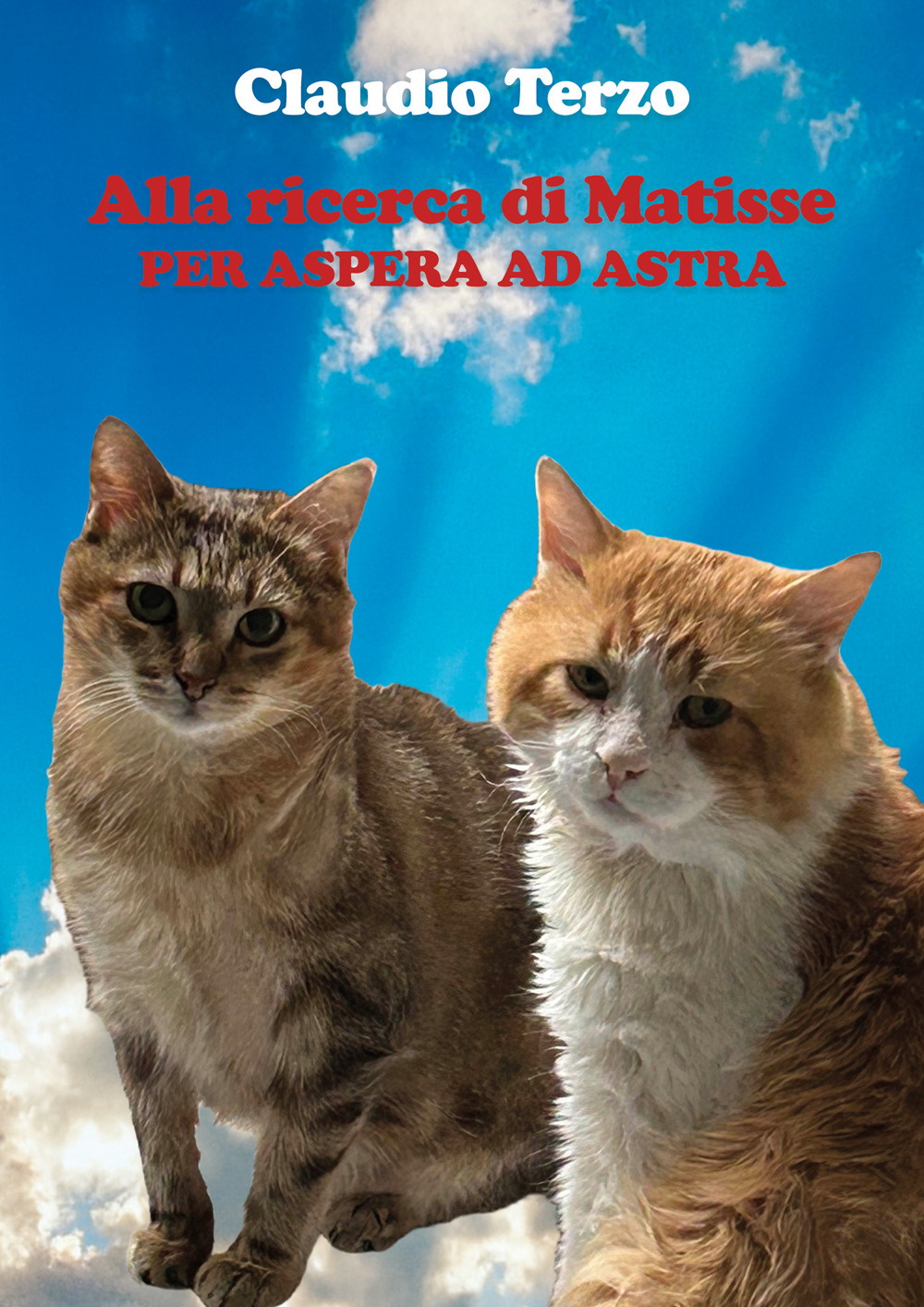 Alla ricerca di Matisse. Per aspera ad astra