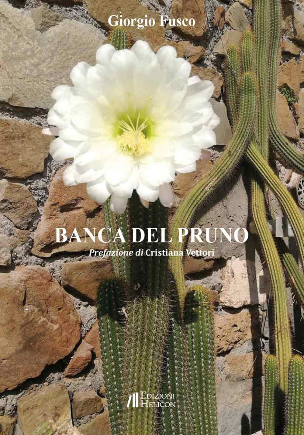 Banca del pruno