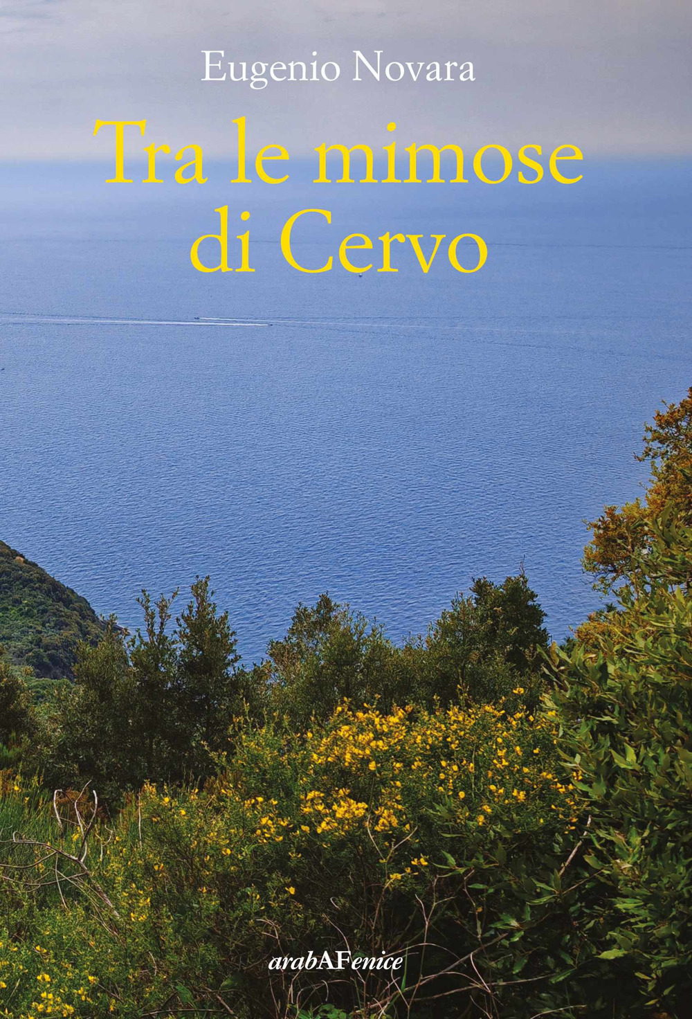 Tra le mimose di Cervo