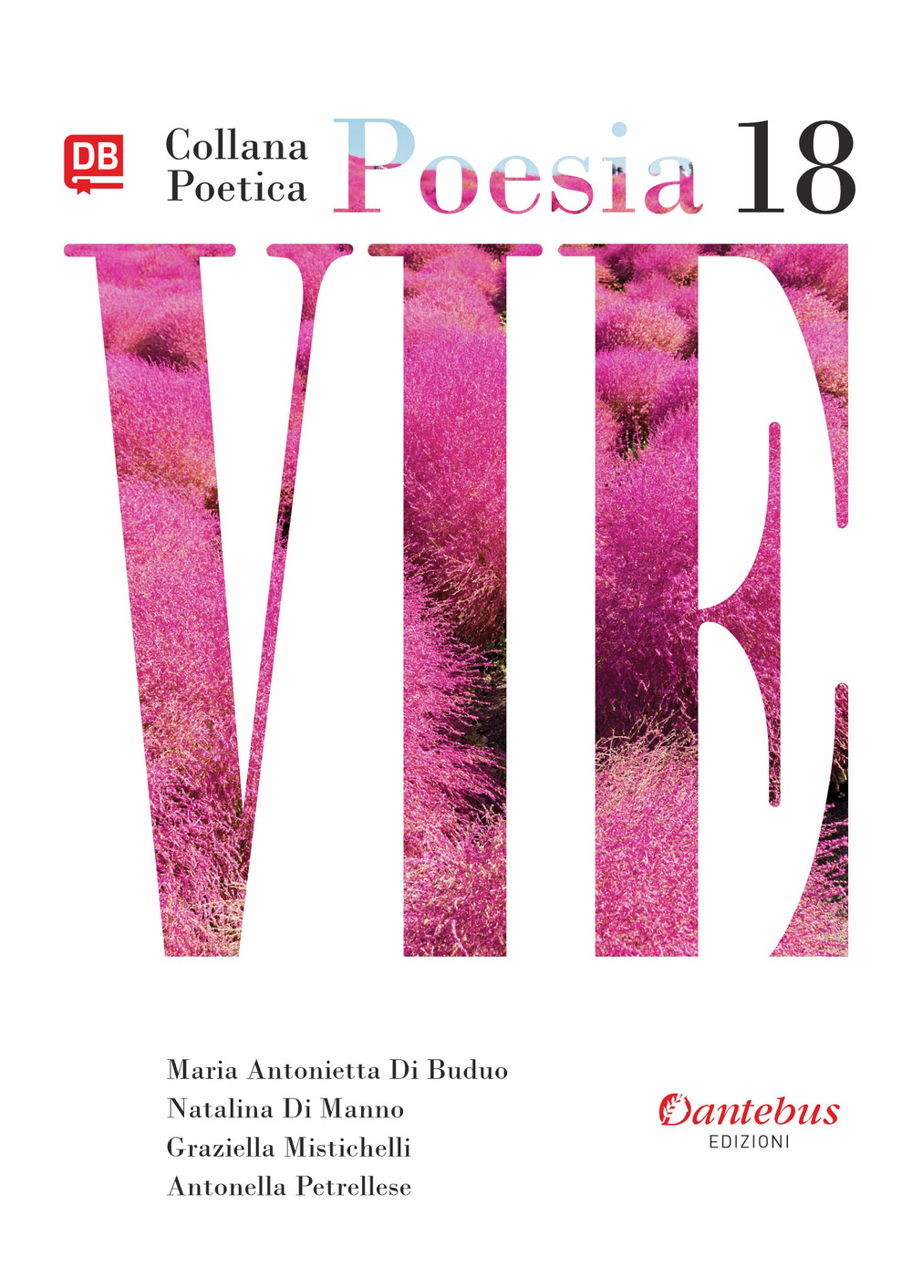 Vie. Collana poetica. Nuova ediz.. Vol. 18