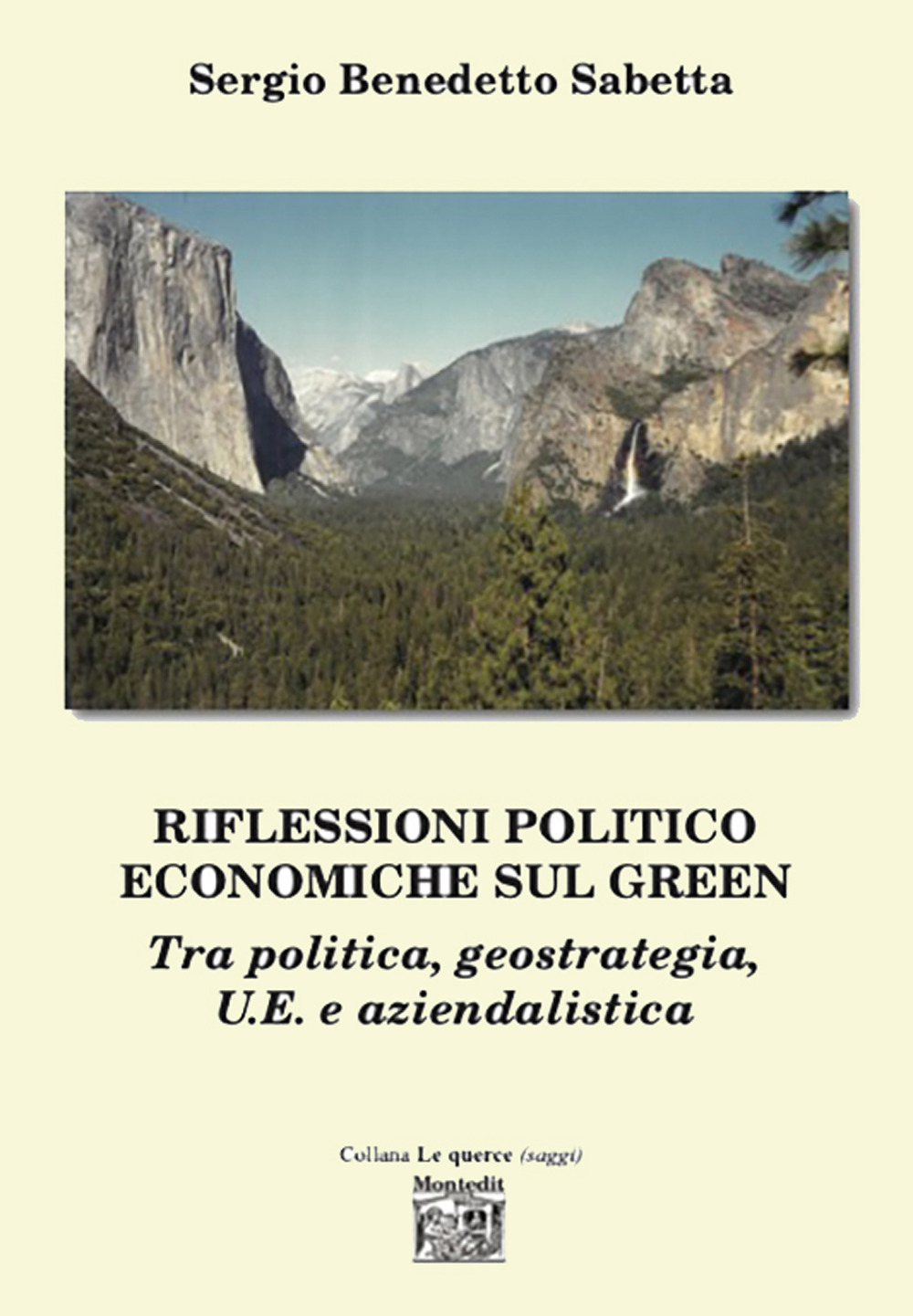 Riflessioni politico economiche sul green tra politica, geostrategia, U.E. e aziendalistica