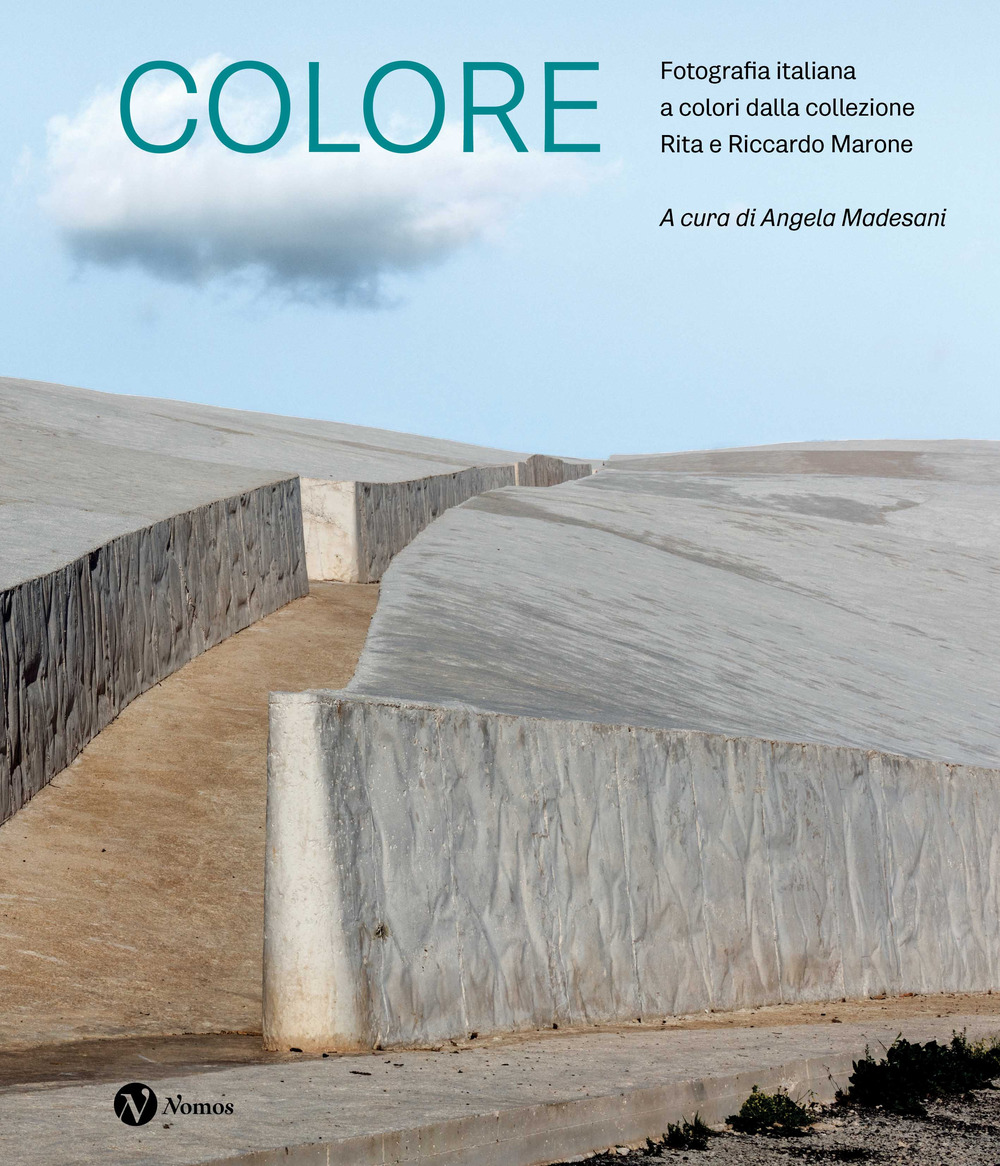 Colore. Fotografia italiana a colori dalla collezione Rita e Riccardo Marone. Ediz. illustrata