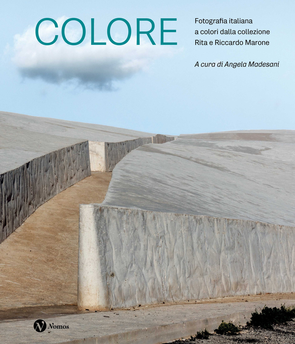 Colore. Fotografia italiana a colori dalla collezione Rita e Riccardo Marone. Ediz. a colori