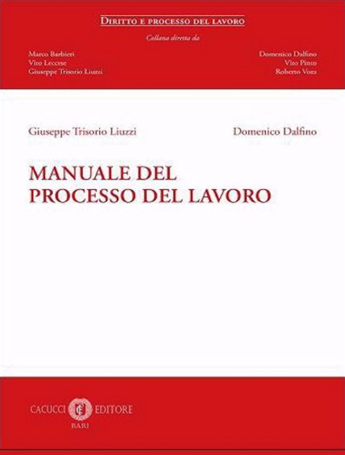 Manuale del processo del lavoro