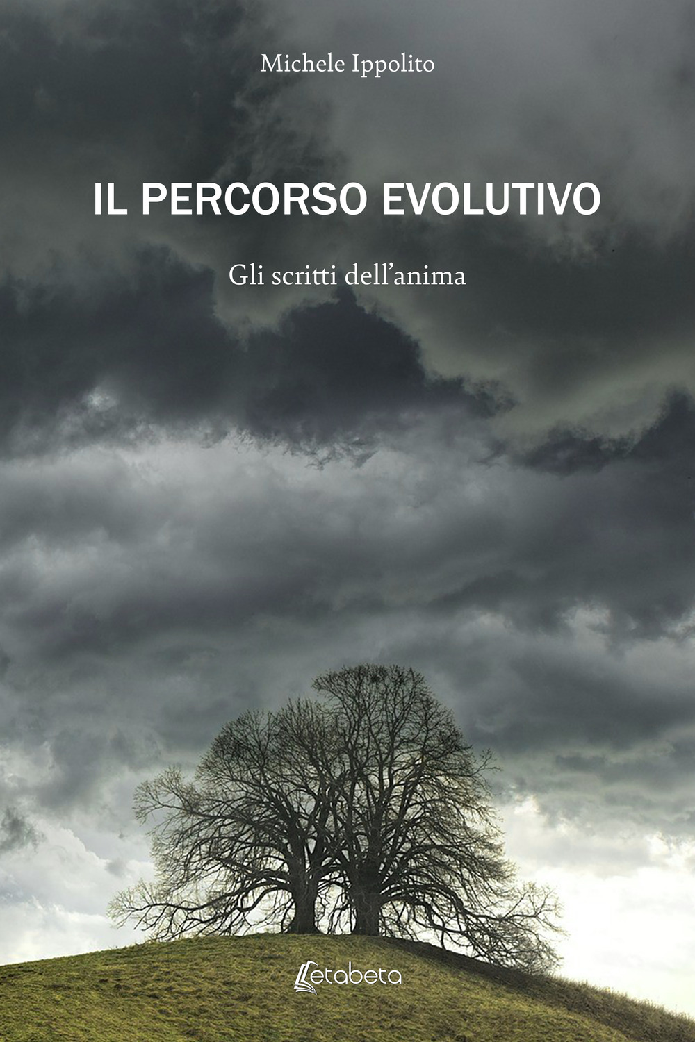 Il percorso evolutivo. Gli scritti dell'anima