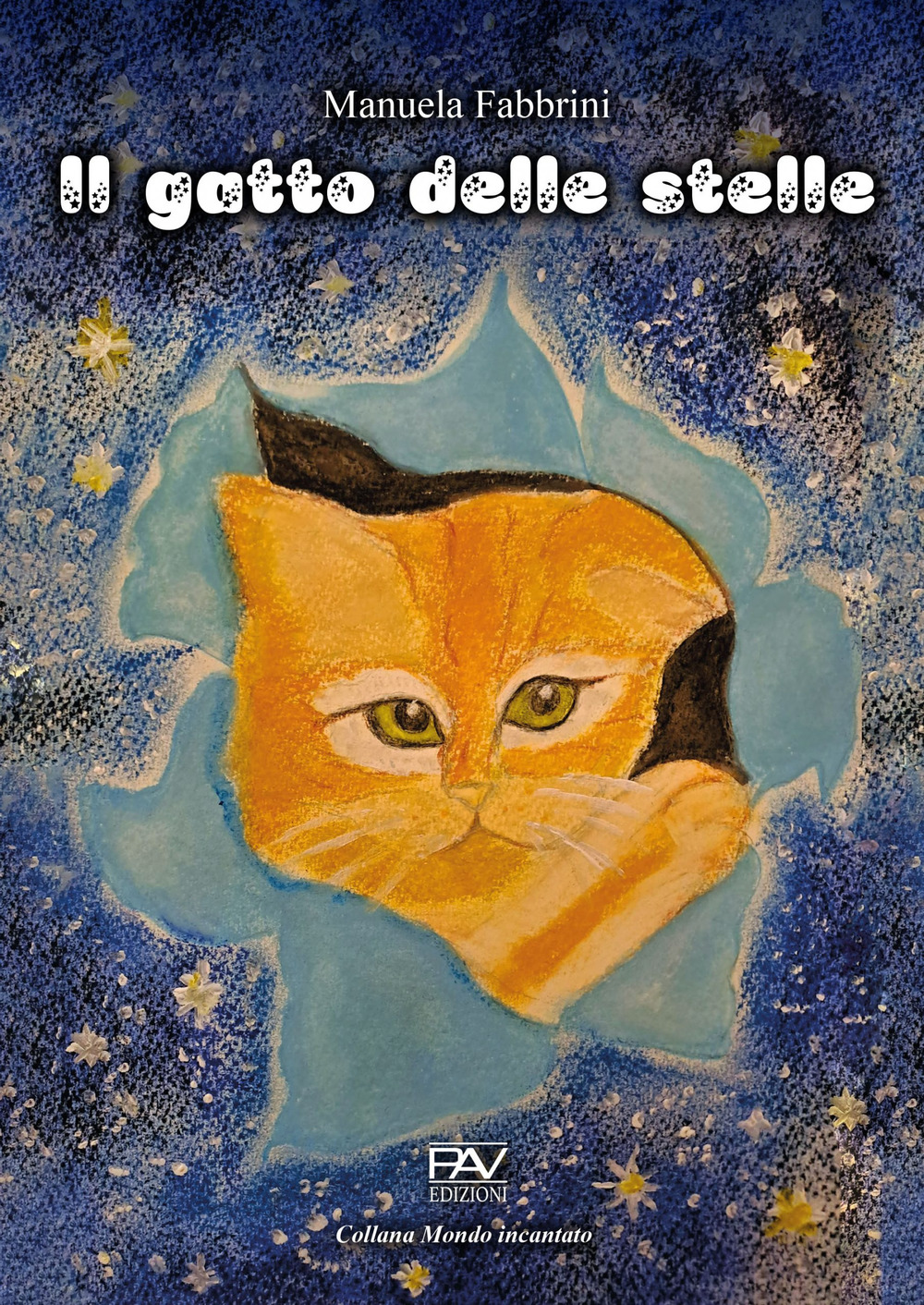 Il gatto delle stelle. Ediz. a colori