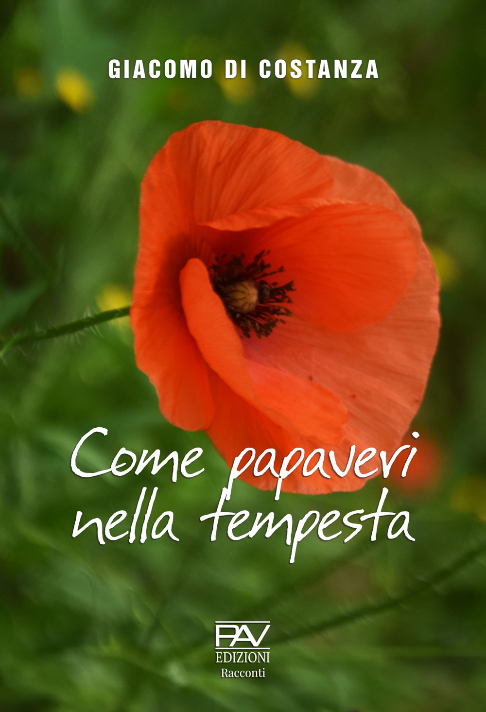 Come papaveri nella tempesta