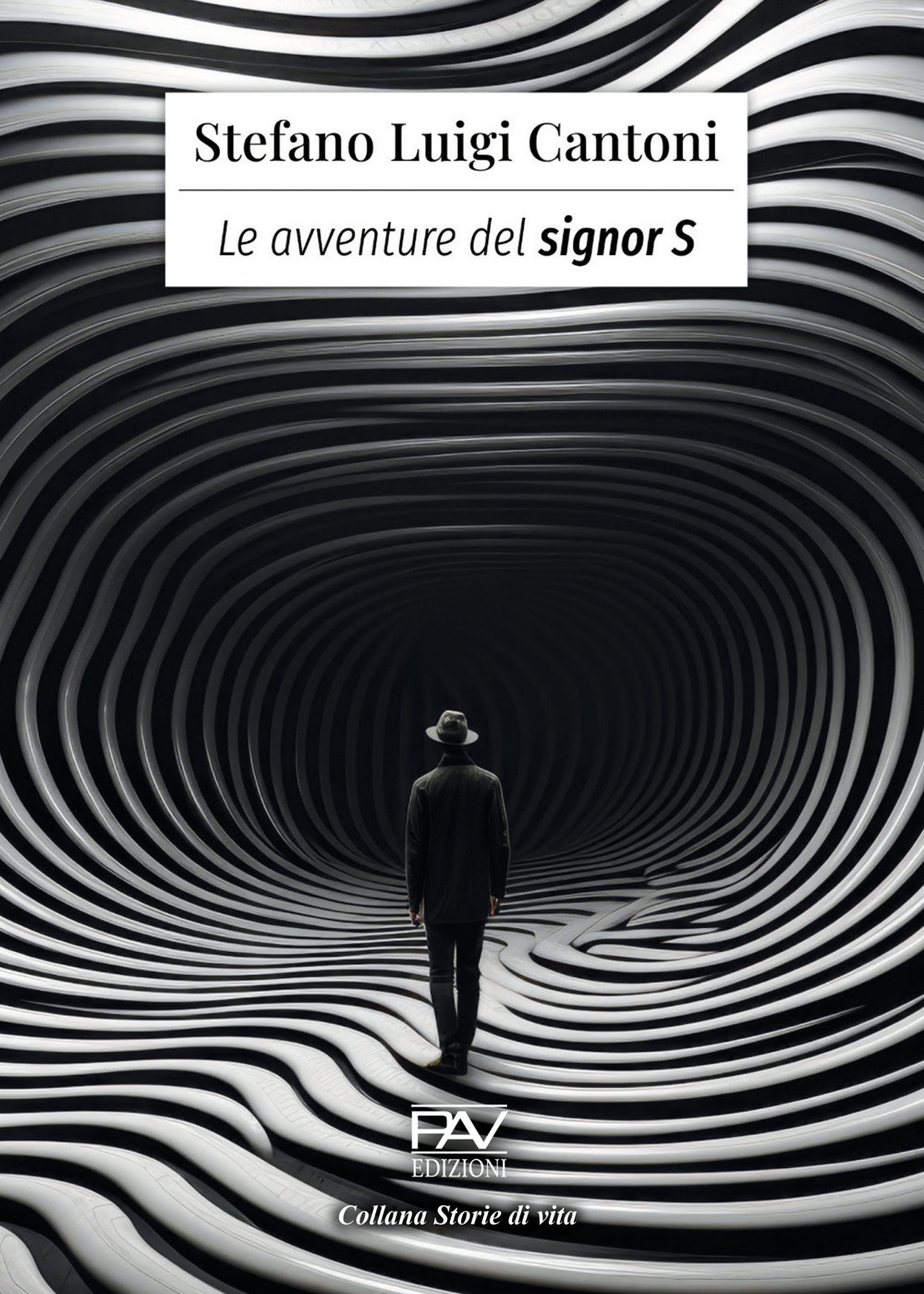 Le avventure del signor S