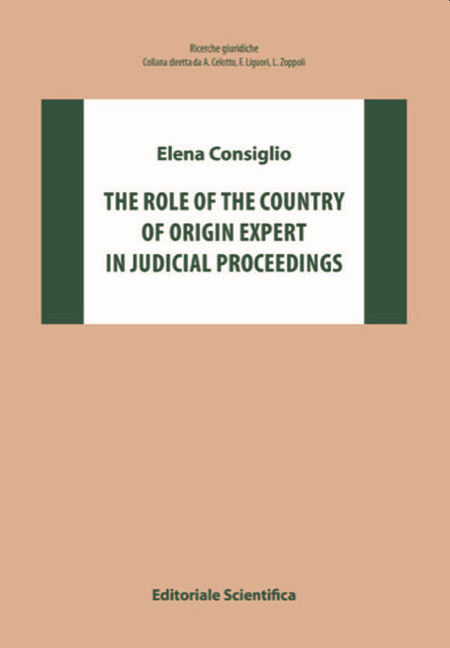 The role of the country of origin expert in judical proceedings