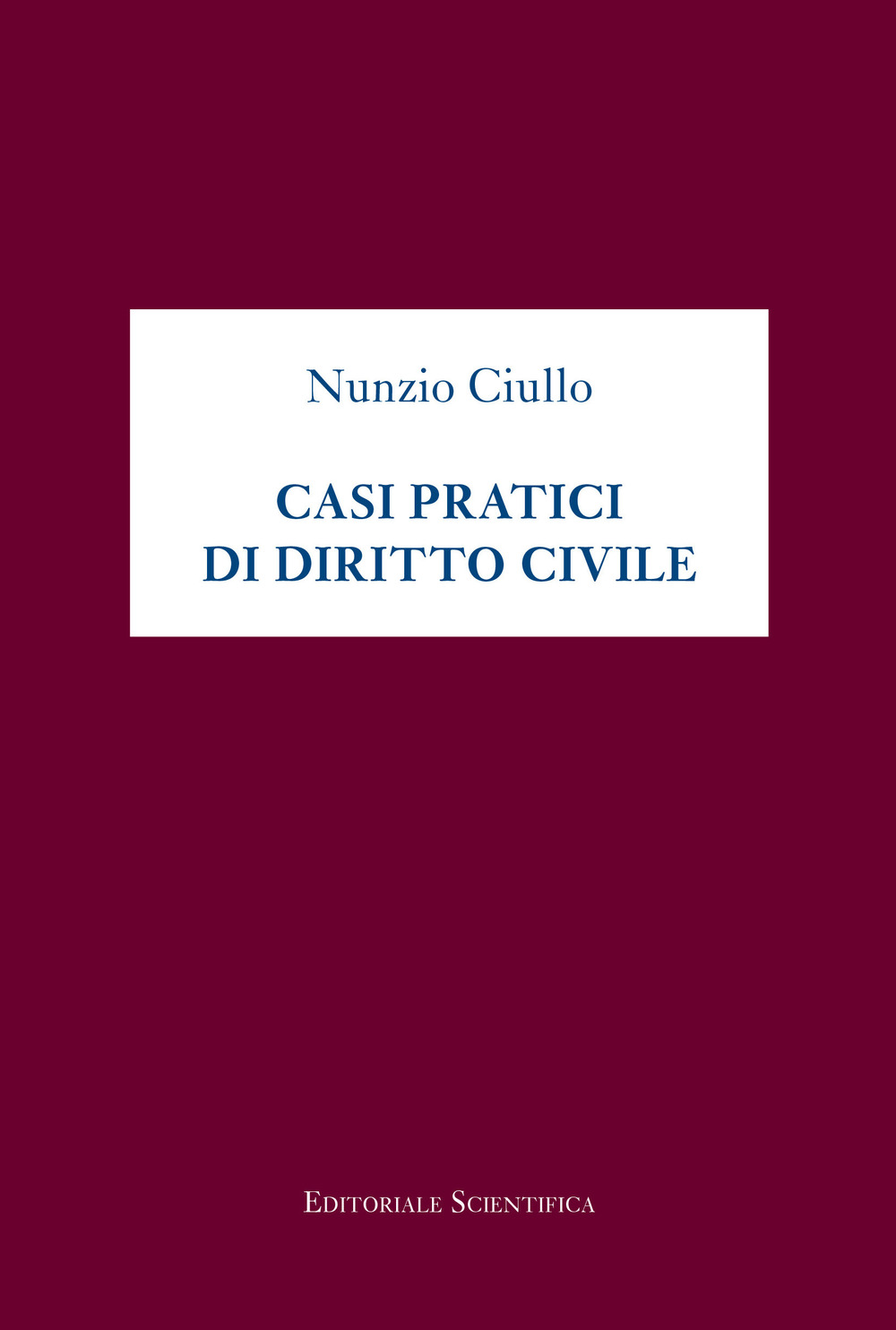 Casi pratici di diritto civile