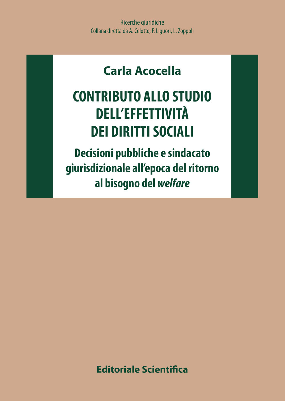 Contributo allo studio dell'effettività dei diritti sociali. Decisioni pubbliche e sindacato giurisdizionale all'epoca del ritorno al bisogno del welfare