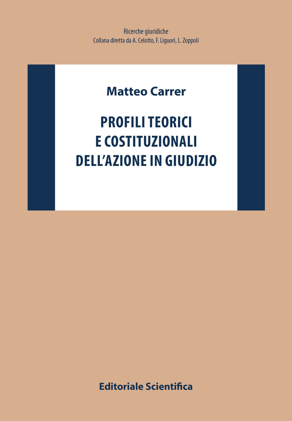 Profili teorici e costituzionali dell'azione in giudizio