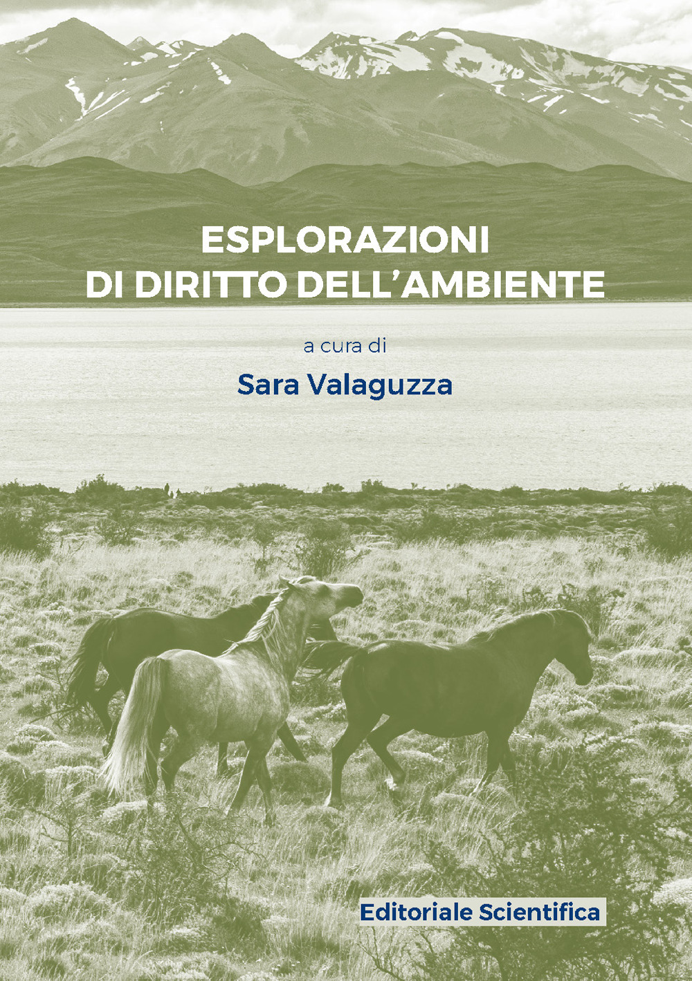 Esplorazioni di diritto dell'ambiente