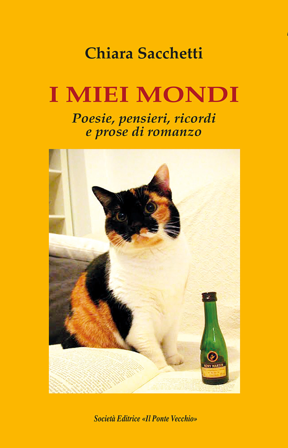 I miei mondi