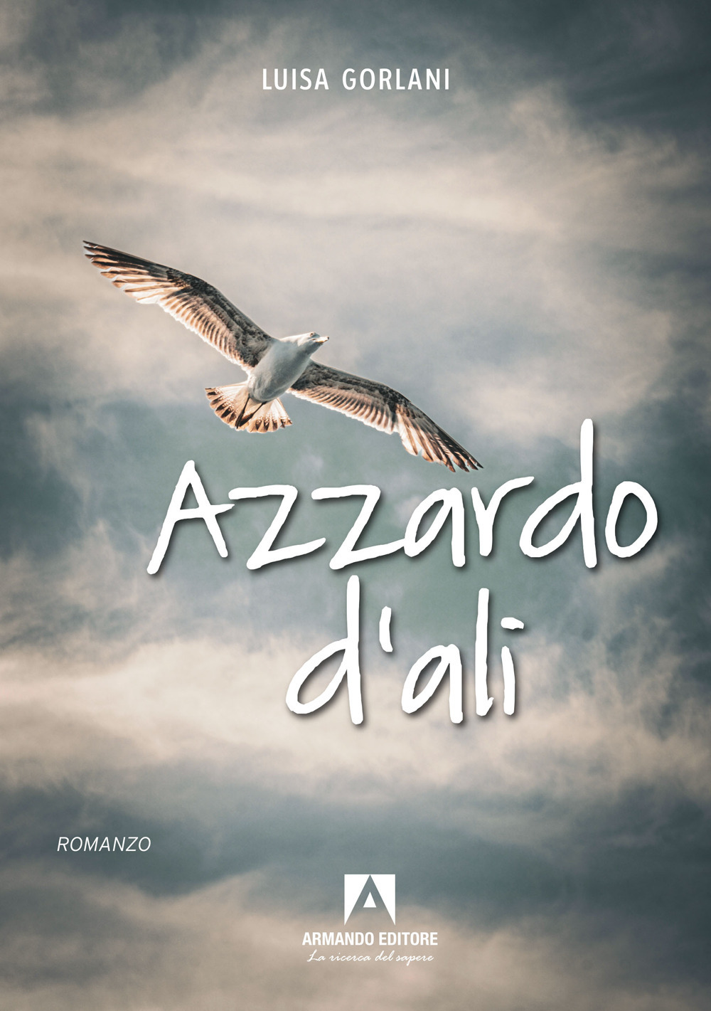 Azzardo d'ali