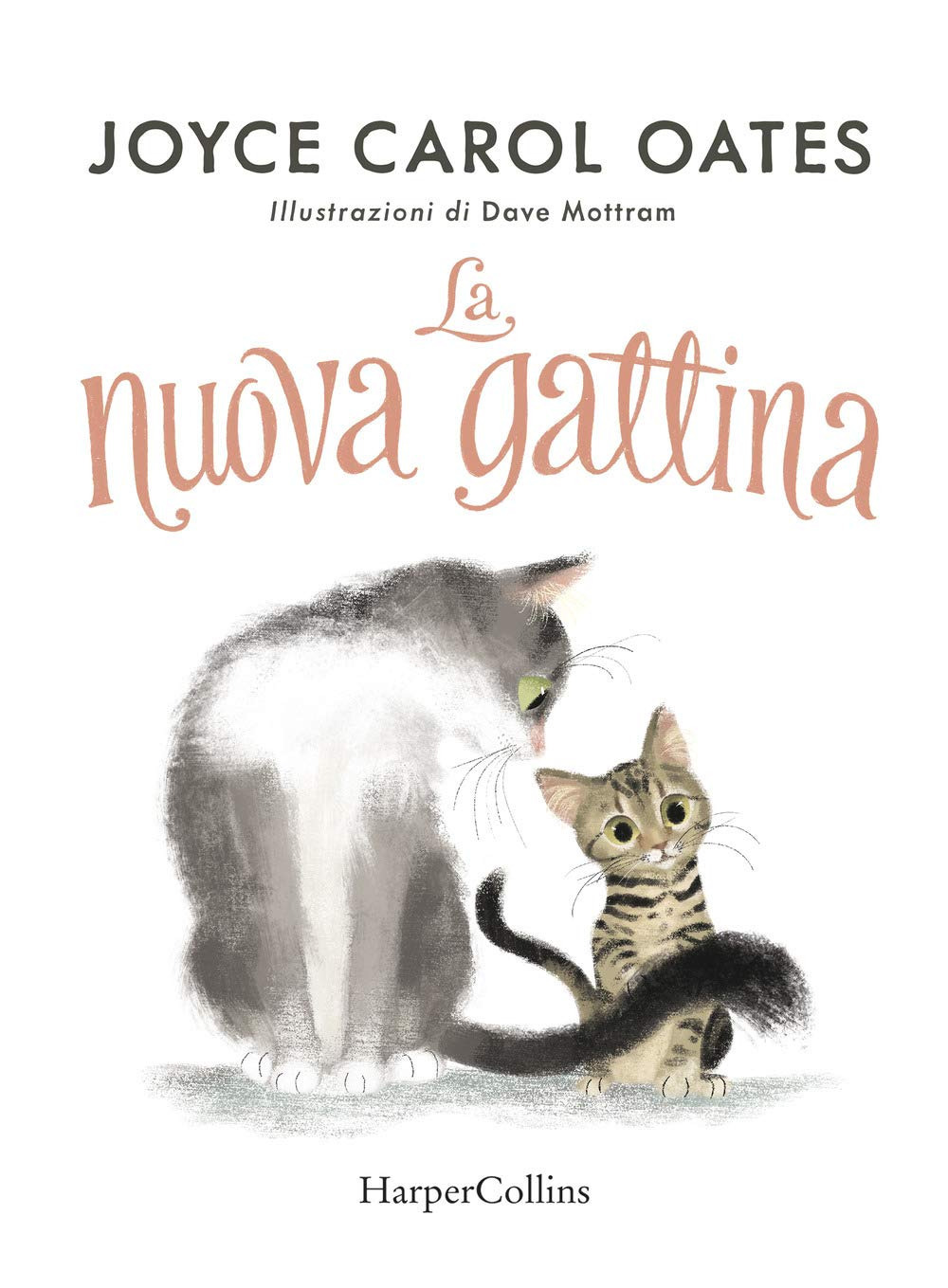 La nuova gattina. Ediz. illustrata