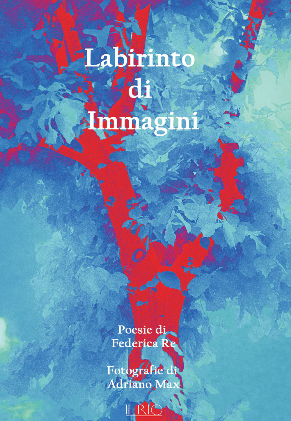 Labirinto di immagini