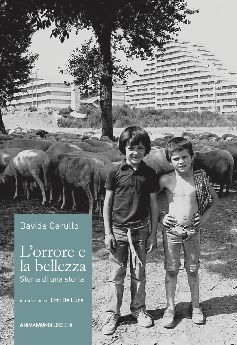 L'orrore e la bellezza. Storia di una storia