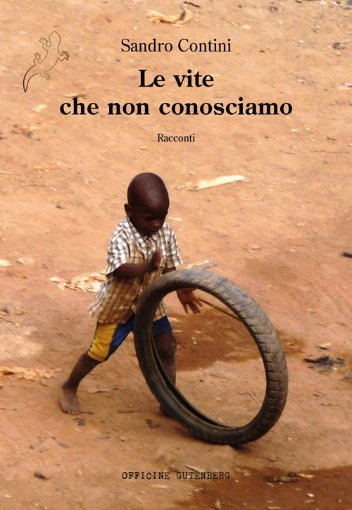 Le vite che non conosciamo. Ediz. illustrata