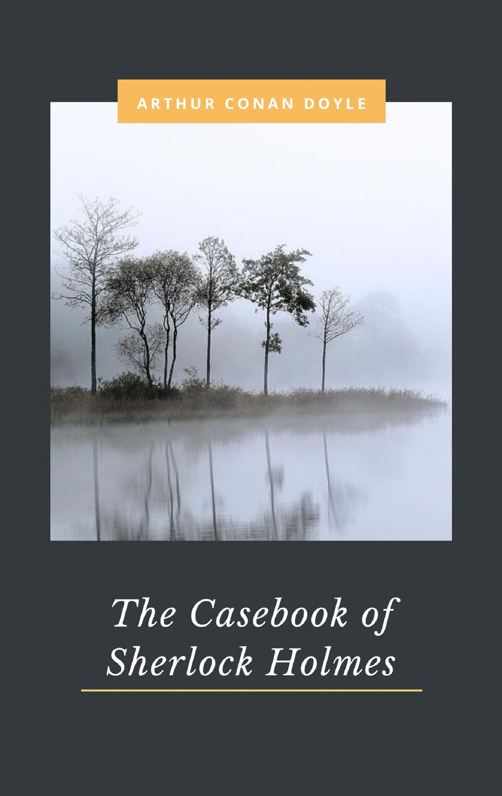 The casebook of Sherlock Holmes