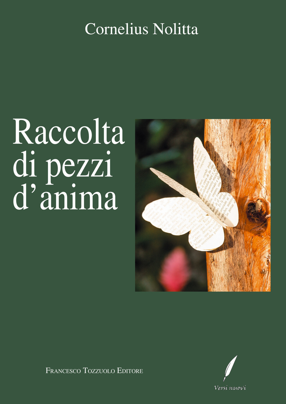 Raccolta di pezzi d'anima