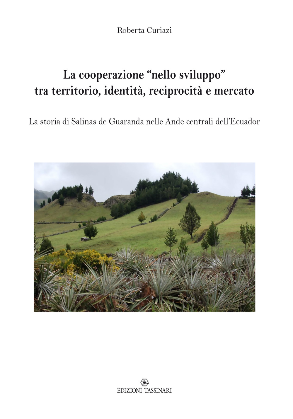 La cooperazione «nello sviluppo» tra territorio, identità, reciprocità e mercato. La storia di Salinas de Guaranda nelle Ande centrali dell'Ecuador