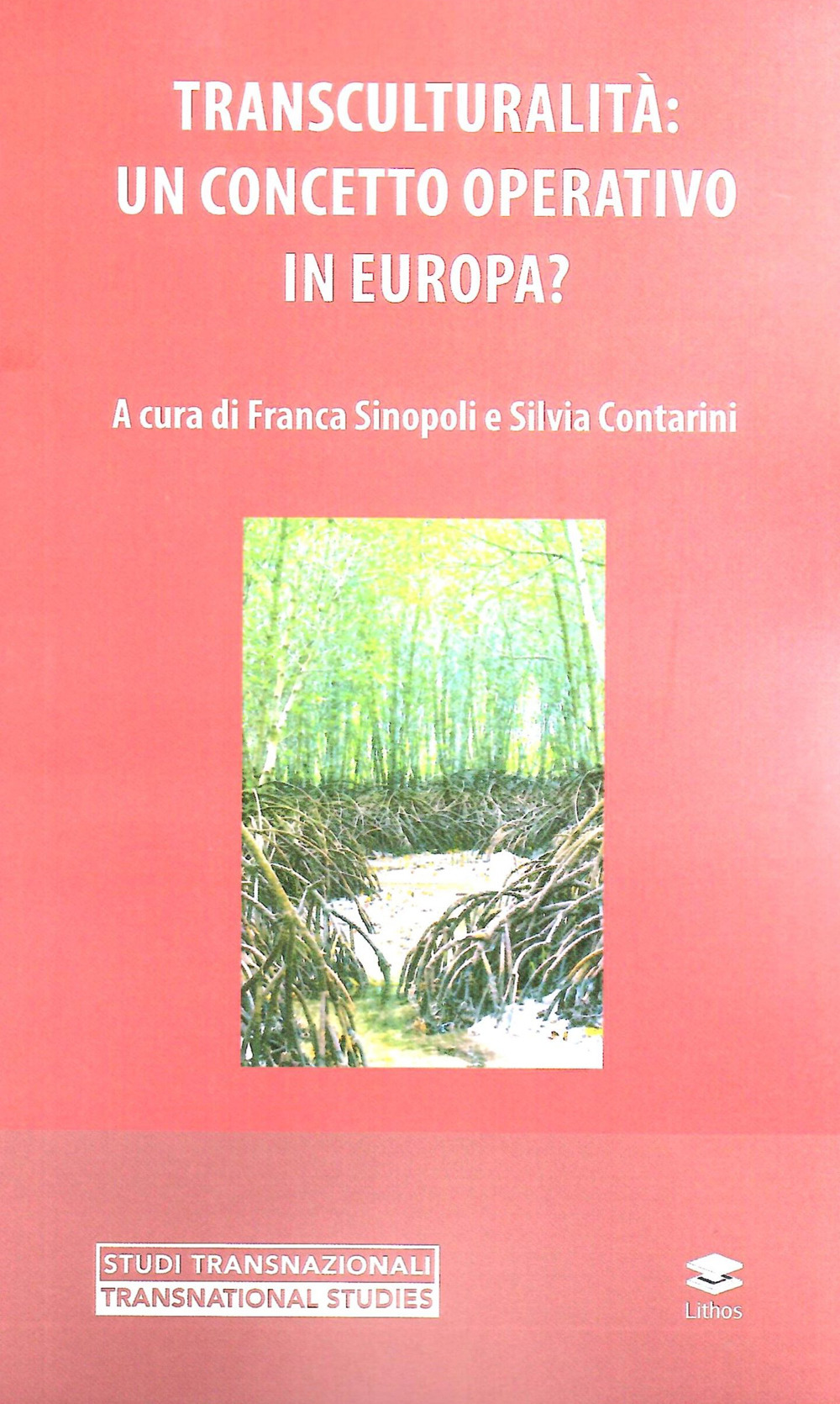 Transculturalità: un concetto operativo in Europa?