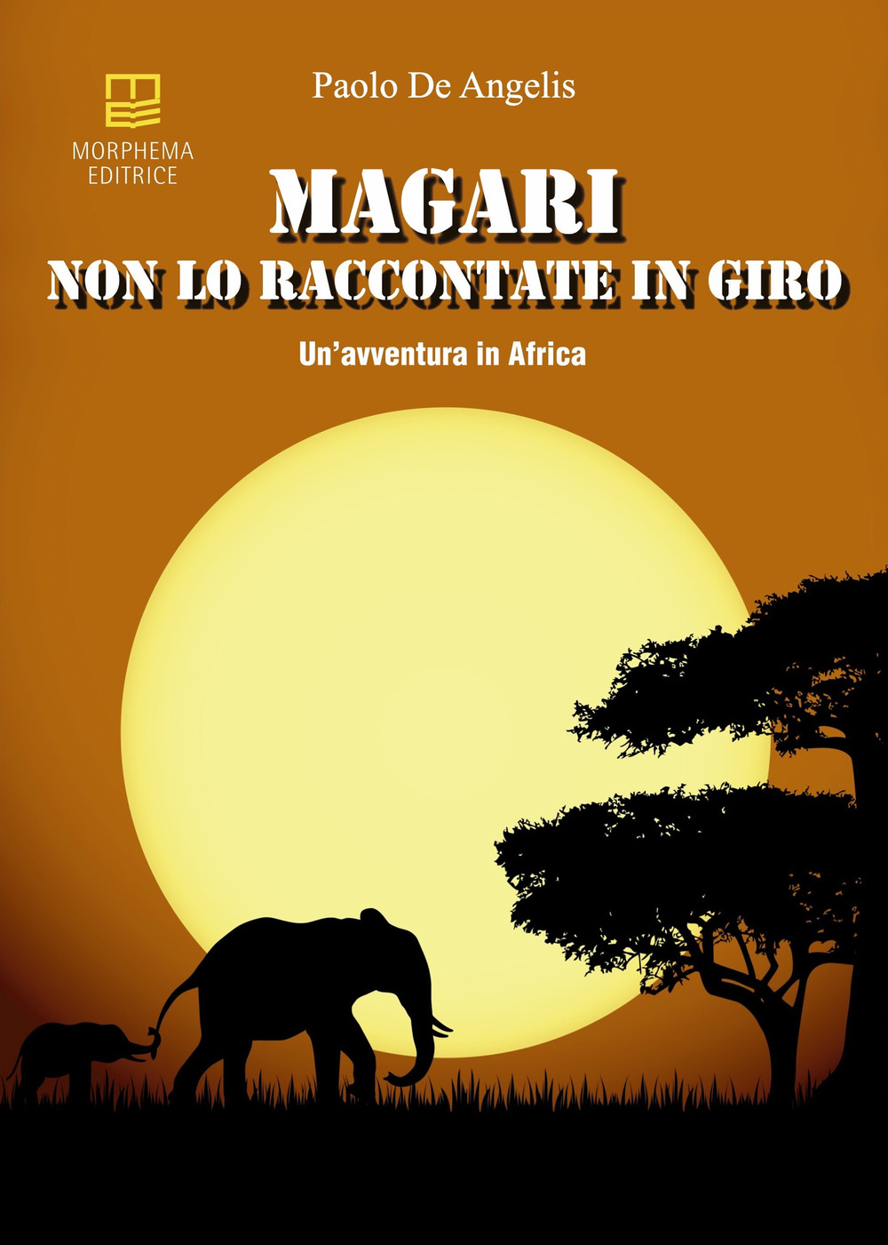 Magari non lo raccontate in giro. Un'avventura in Africa