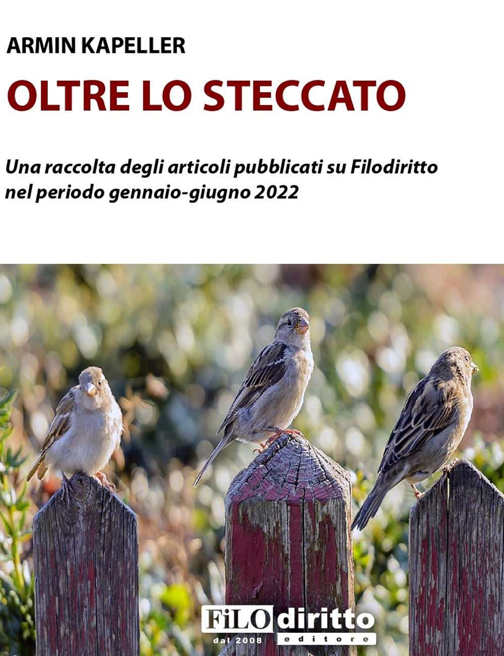 Oltre lo steccato. Una raccolta di articoli pubblicati su Filodiritto nel periodo gennaio-giugno 2022