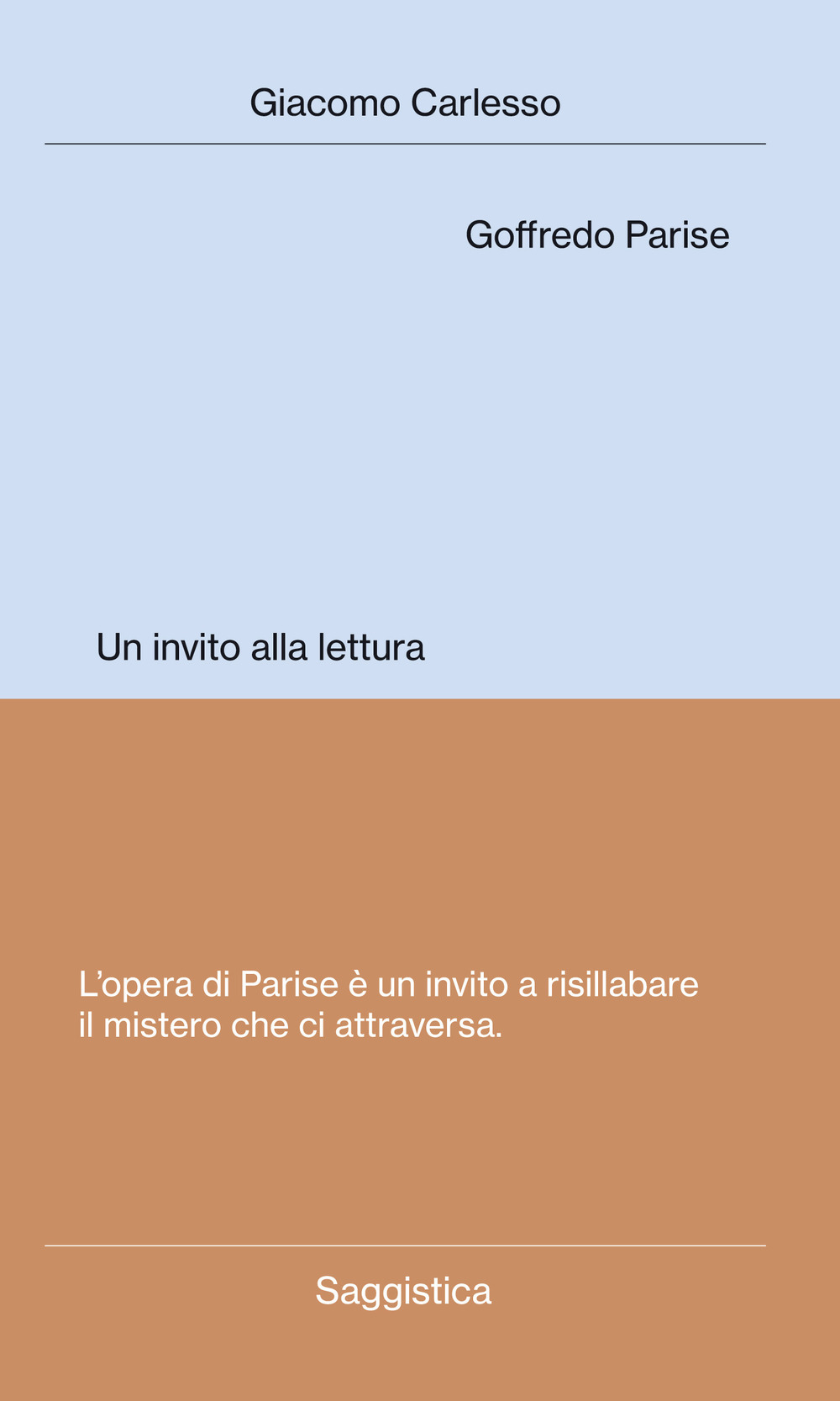 Goffredo Parise. Un invito alla lettura