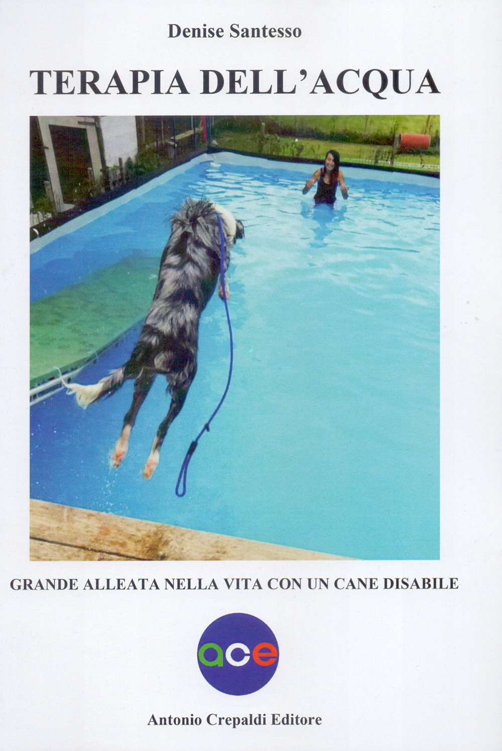 Terapia dell'acqua. Grande alleata nella vita con un cane disabile. Ediz. illustrata