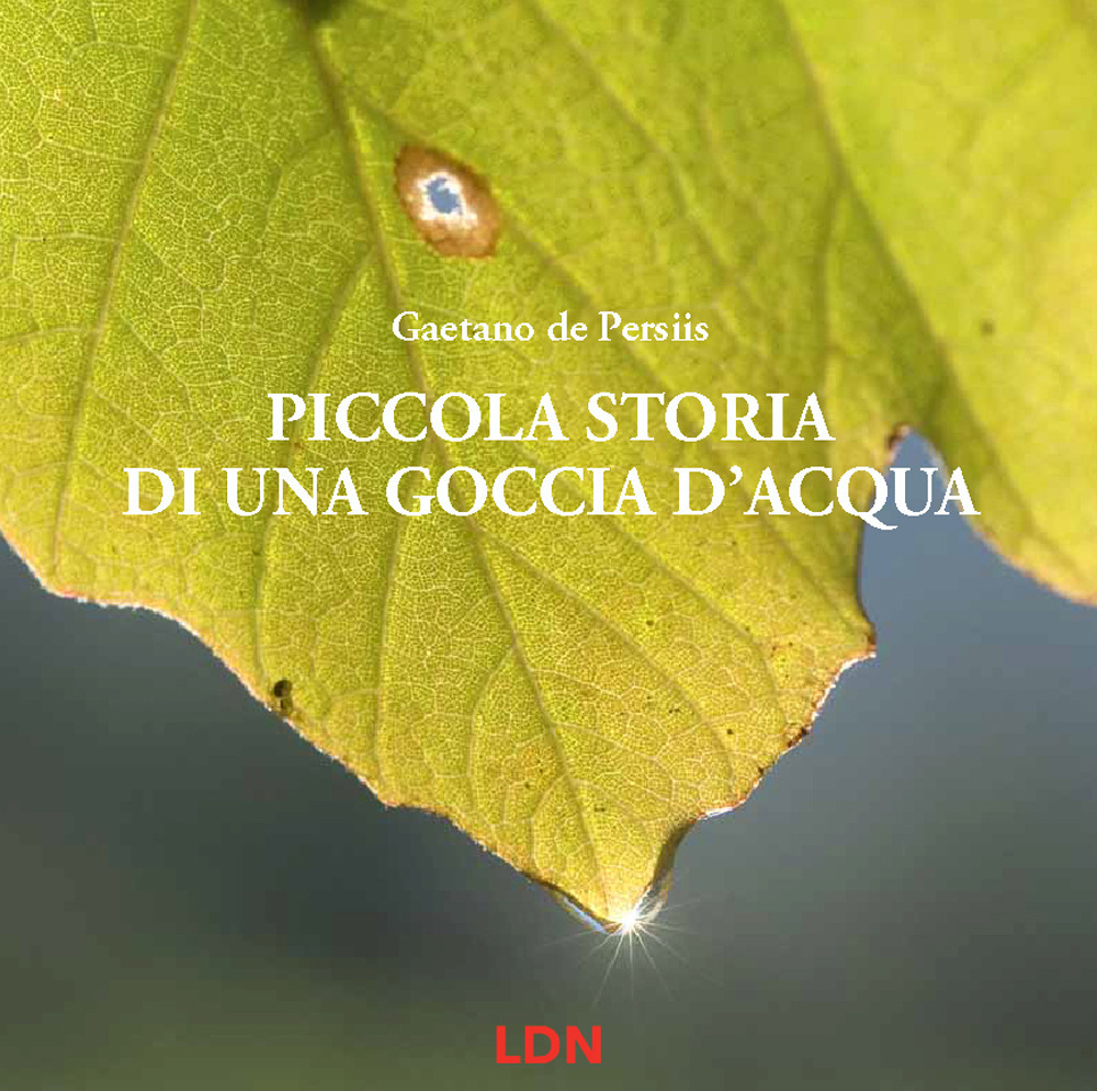 Piccola storia di una goccia d'acqua. Ediz. a colori