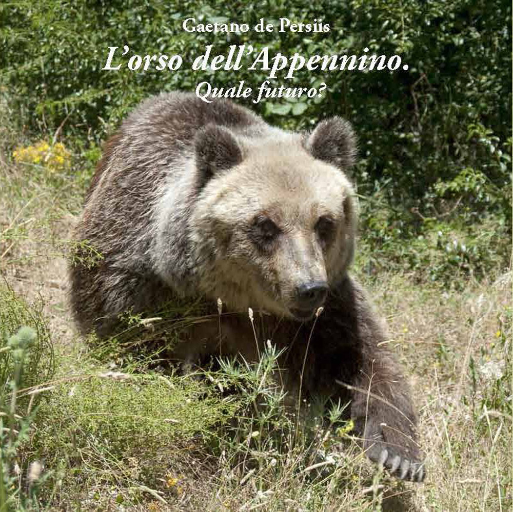 L'orso dell'Appennino. Quale futuro?